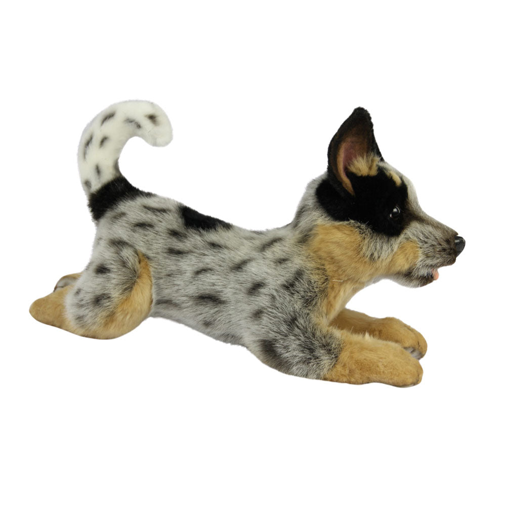 Heeler Puppies Blue Heeler Plush Toy Plush Cuddlimals Puppy Dog