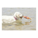 DOOG Supersticks Captain Fantastic Dog Toy (28cm)