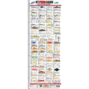 Fish ID Ruler