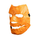 Halloween (2007) Asylum Mask