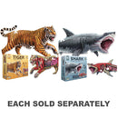 Anatomy Floor Puzzle