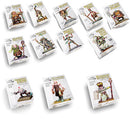 AK Interactive Fantasia Latorre Figure (35mm)