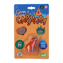 Grow Capybara Toy