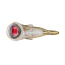 Barramundi Fish Bottle Opener