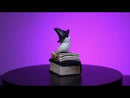 Snowy Owl Book Trinket Box