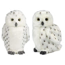 Living Nature Snowy Owl