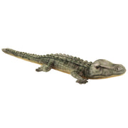 Crocodile d'eau salée Hansa
