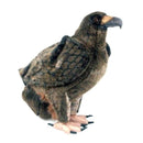 Aigle royal de la Hanse