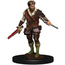 Dungeons & Dragons Premium Human Rogue Male Miniature