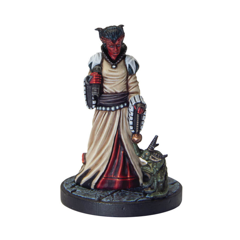 Descente des collectionneurs D&amp;D dans l'Averne