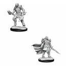 D&amp;D Nolzurs Miniatures non peintes