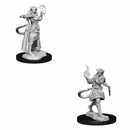 D&amp;D Nolzurs Miniatures non peintes