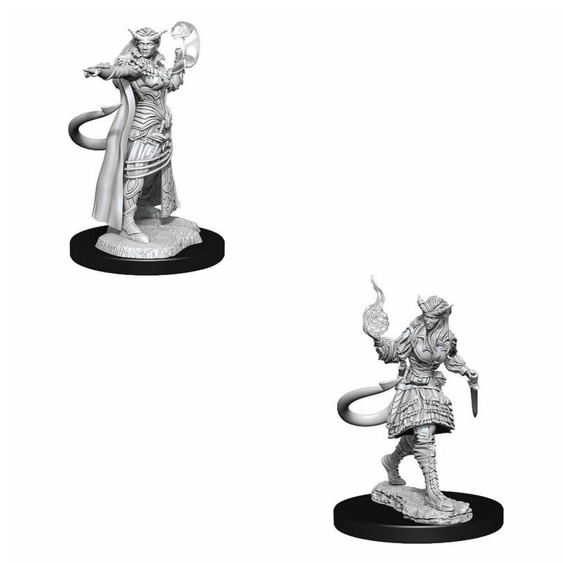 D&amp;D Nolzurs Miniatures non peintes