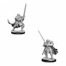 D&amp;D Nolzurs Miniatures non peintes