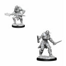D&amp;D Nolzurs Miniatures non peintes