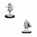D&amp;D Nolzurs Miniatures non peintes