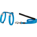 HARNE DE CAT classique et combo de plomb